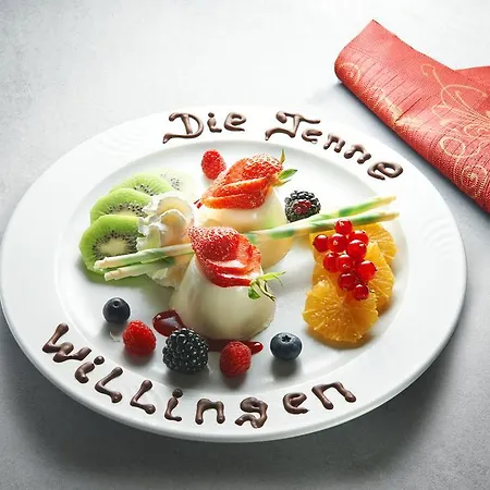 Die Tenne Hotel Willingen (Upland)