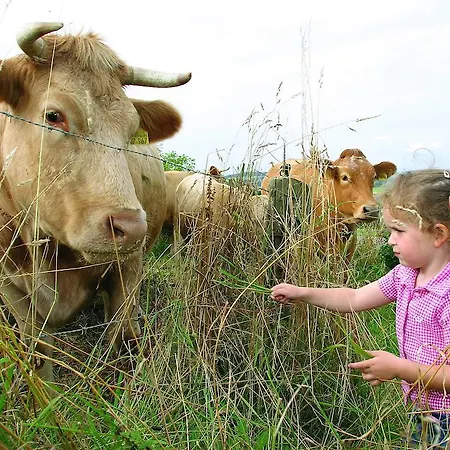 Die Tenne * Willingen (Upland)