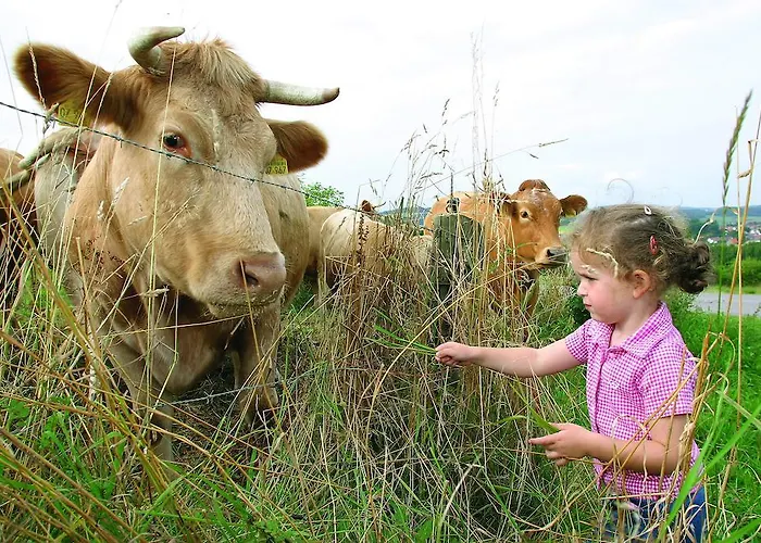 Die Tenne * Willingen (Upland)