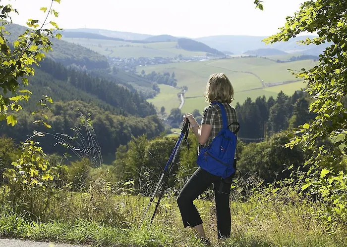 Hotel Die Tenne Willingen (Upland)